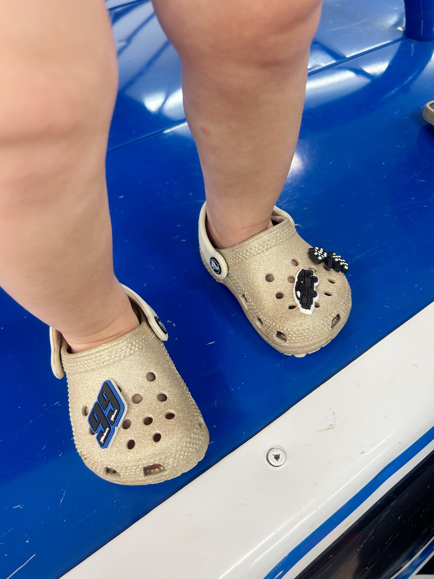 99 Croc Charms